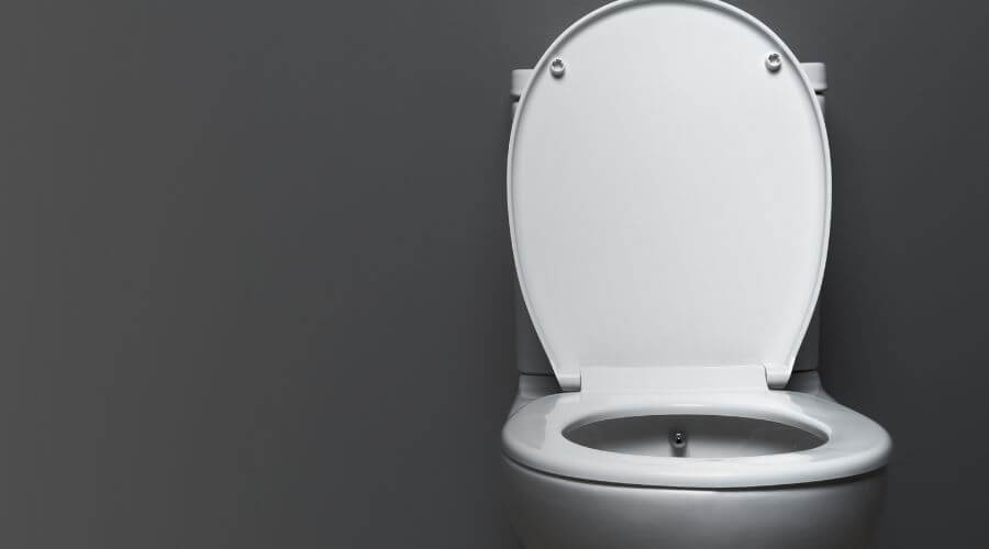 Why Choose Expert Porta Potty Rentals